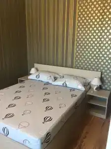 Два дельфина - 37