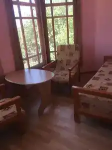 Два дельфина - 39