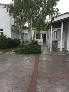 Два дельфина - 43