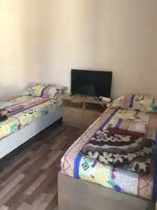 Два дельфина - 46