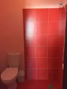 Два дельфина - 49