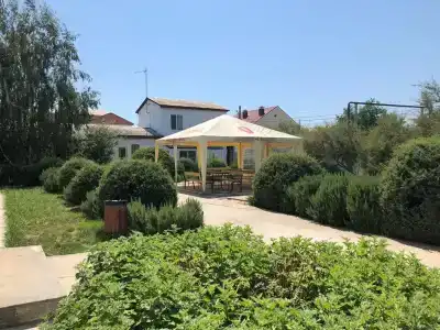 Два дельфина - 50