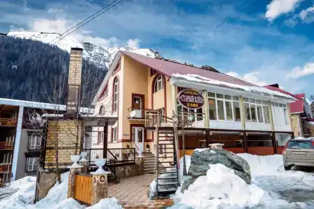 Старый Клен - 1