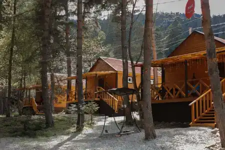 Миллениум - 1