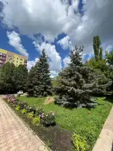 Фаворит - 6