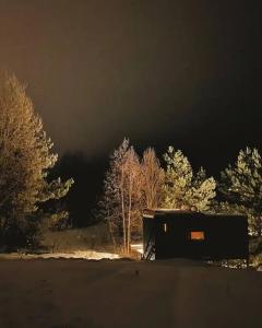 Forrest Home - 38
