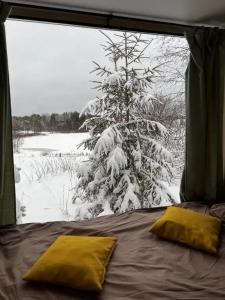 Forrest Home - 0