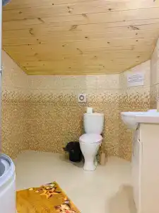 Три Медведя - 20