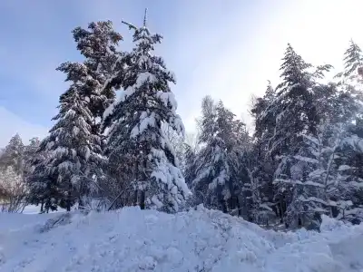 Звездный дом - 5