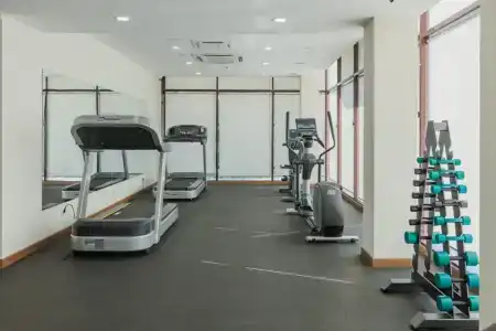Монто - 3