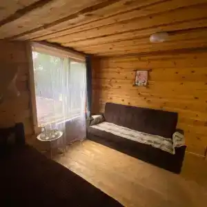 Dacha - 19