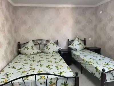Флора - 6