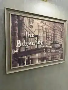 Бельведер - 19