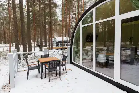 Хвоя, Карелия - 2