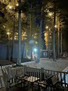 АльбАгир - 17