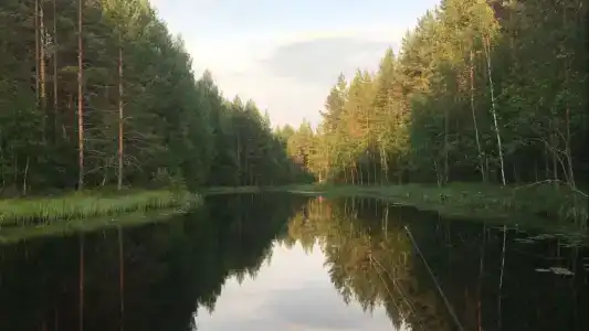 Гостевой дом в Кудаме Весенняя 12 - 9