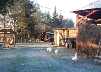 Юркино озеро - 9