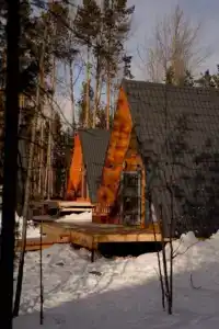 Тайга - 10
