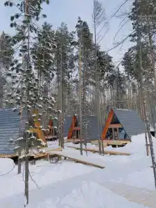 Тайга - 1