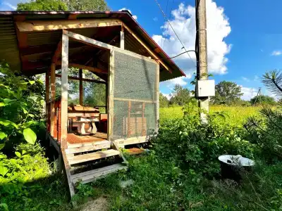 Жили-Были - 31