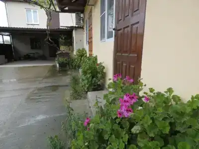у Дианы - 1
