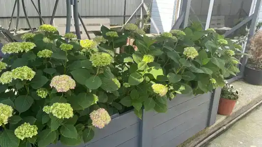 Закруткинский - 7