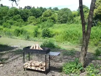 Золотая подкова - 5