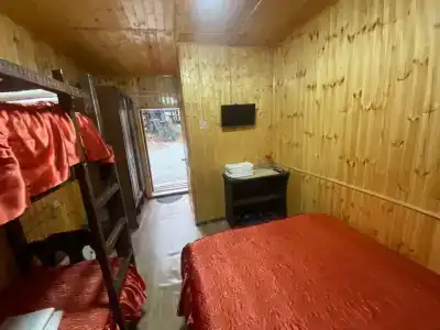 Dacha - 40
