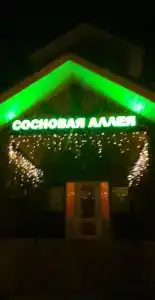 Сосновая аллея - 2