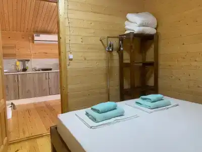 Меганом - 110