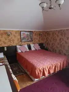 Арина - 1