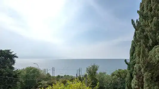 Апельсин - 5