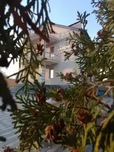 Корона - 2