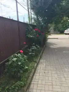 Киараз - 3