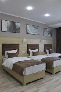 Shosh modern - 5