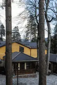 Ski Resort - 5