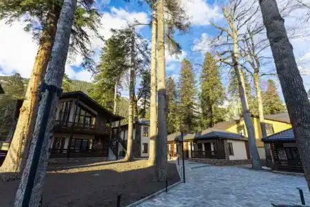Ski Resort - 7