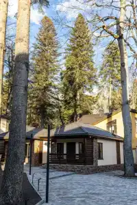 Ski Resort - 6