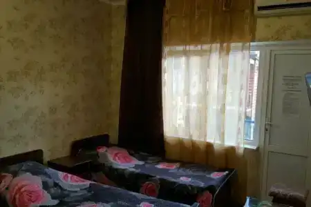 Феникс - 15