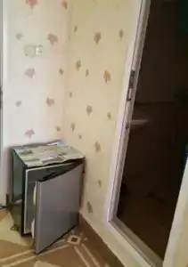 Феникс - 17