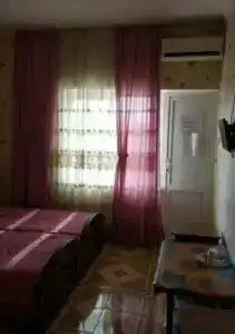 Феникс - 13
