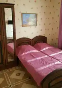 Феникс - 10