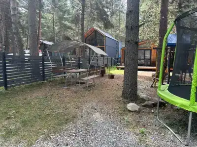 Жизнь в лесу - 6