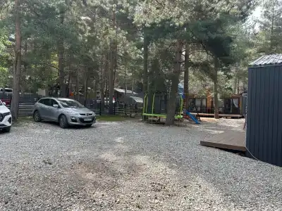 Жизнь в лесу - 7