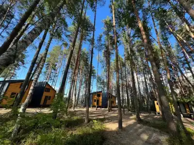 Солнечный - 31