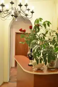 ль «Best Corner - 5