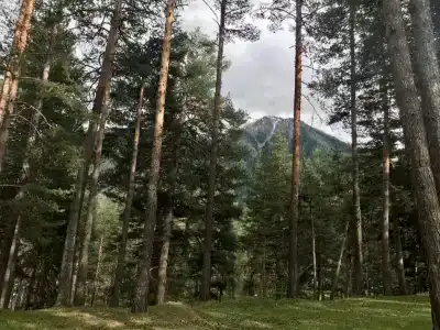 Белый волк - 11