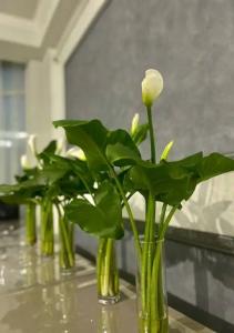 Grand House - 8