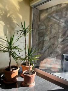 Grand House - 21