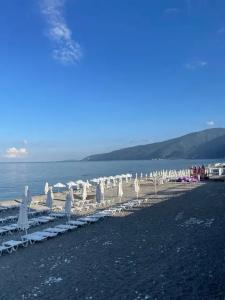 New Gagra - 14